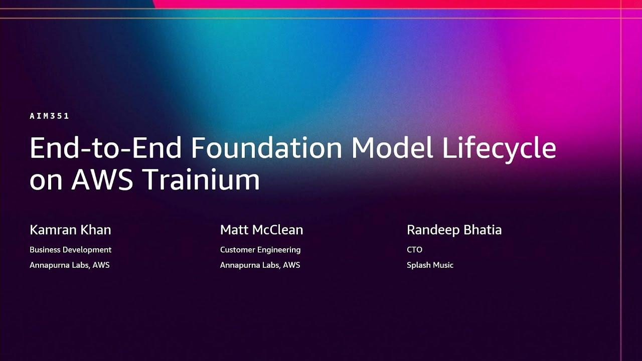 Foundation Model Lifecycle